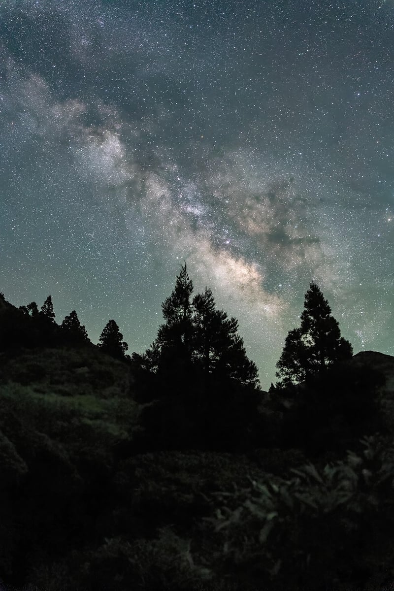 Meteor Lights